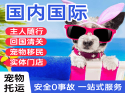 福州长乐航空托运国际宠物托运 【国